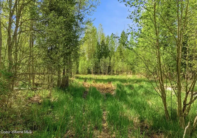 Homes for sale in Sandpoint, ID | 522 W Bronx Rd, Sandpoint, ID 83864 | MLS# 26-4521