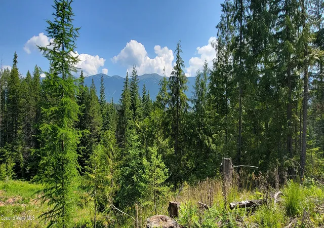 Homes for sale in Bonners Ferry, ID | Nna Enchanted Lane #3, Bonners Ferry, ID 83805 | MLS# 26-4583