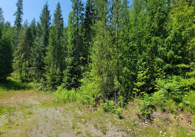 Homes for sale in Bonners Ferry, ID | Nna Enchanted Lane #3, Bonners Ferry, ID 83805 | MLS# 26-4583