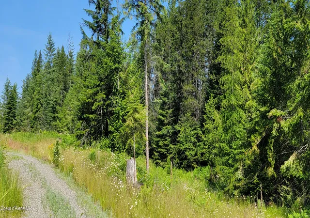 Homes for sale in Bonners Ferry, ID | Nna Enchanted Lane #3, Bonners Ferry, ID 83805 | MLS# 26-4583