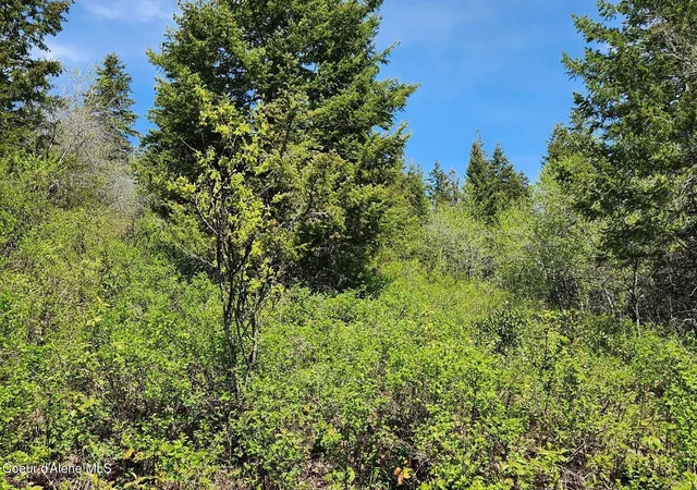 Homes for sale in Naples, ID | Nna All Seasons Rd, Naples, ID 83847 | MLS# 26-4580