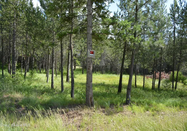 3rd image of Nka N Sylvan Rd, Athol, ID 83801 | MLS# 26-4619