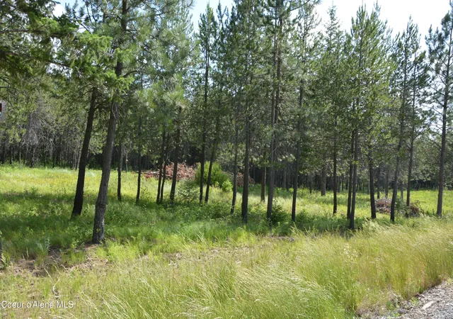 4th image of Nka N Sylvan Rd, Athol, ID 83801 | MLS# 26-4619
