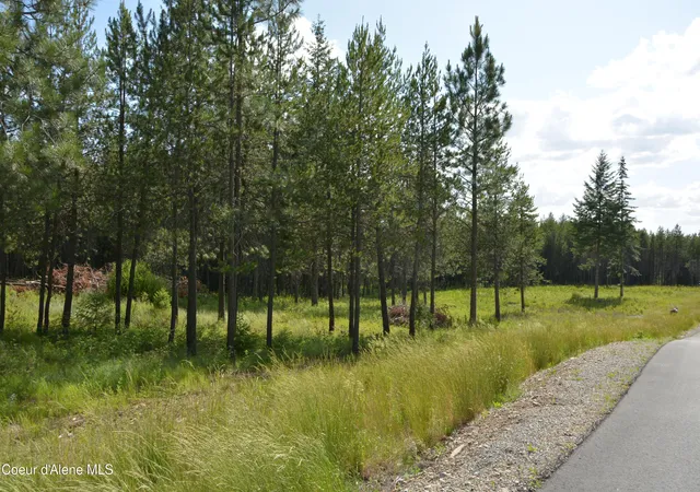 5th image of Nka N Sylvan Rd, Athol, ID 83801 | MLS# 26-4619