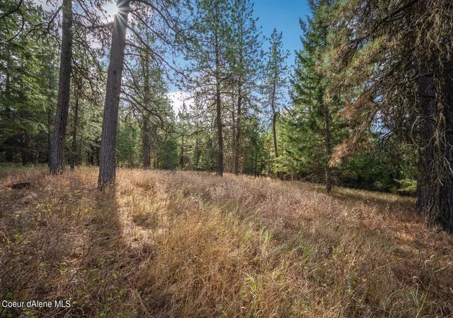1st image of Nka 10ac Becky Ln, Worley, ID 83876 | MLS# 26-5181