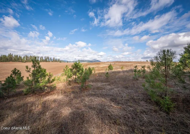 Photo 3 of Land for sale at Nka 10ac Becky Ln, Worley, ID 83876 | MLS# 26-5181 | Listing updated on 2026-05-21