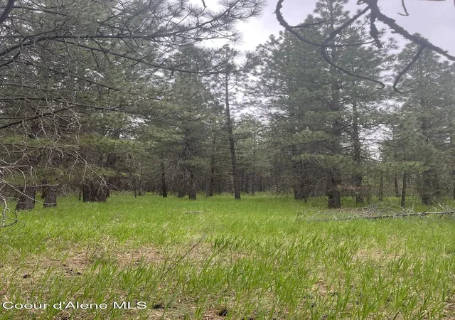 19th image of Nna N Sheep Springs Rd, Athol, ID 83801 | MLS# 26-5310