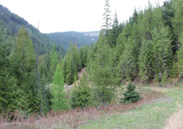 Homes for sale in Mullan, ID | 19a Daisy Gulch Rd, Mullan, ID 83846 | MLS# 26-4753