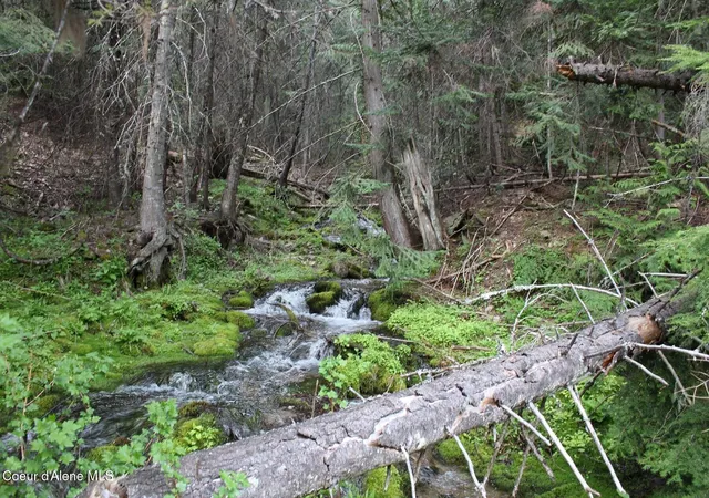 3rd image of 19A Daisy Gulch Rd, Mullan, ID 83846 | MLS# 26-4753