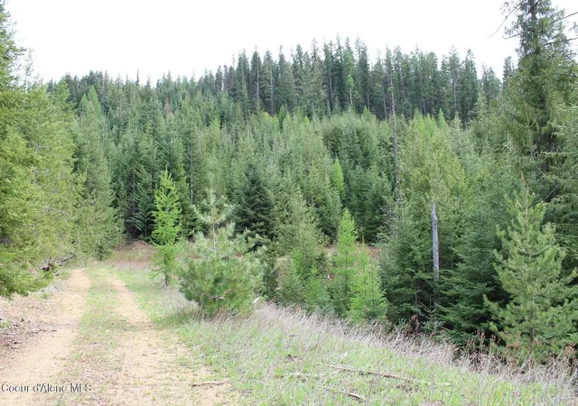 4th image of 19A Daisy Gulch Rd, Mullan, ID 83846 | MLS# 26-4753