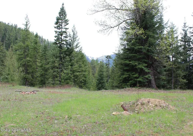 5th image of 19A Daisy Gulch Rd, Mullan, ID 83846 | MLS# 26-4753