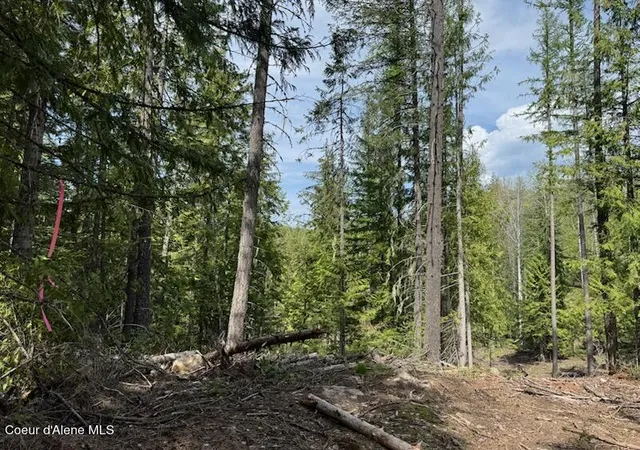 Homes for sale in Sandpoint, ID | Nna Raven Ridge Rd, Sandpoint, ID 83864 | MLS# 26-4761