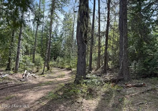 Homes for sale in Sandpoint, ID | Nna Raven Ridge Rd, Sandpoint, ID 83864 | MLS# 26-4761