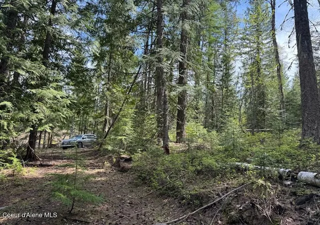 Homes for sale in Sandpoint, ID | Nna Raven Ridge Rd, Sandpoint, ID 83864 | MLS# 26-4761
