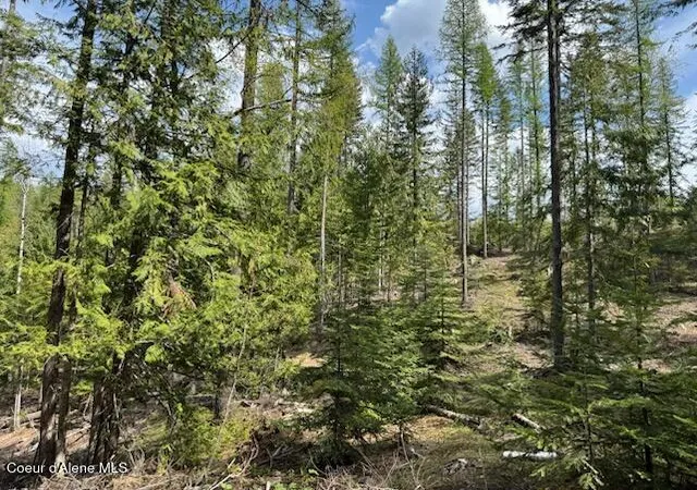 Homes for sale in Sandpoint, ID | Nna Raven Ridge Rd, Sandpoint, ID 83864 | MLS# 26-4761