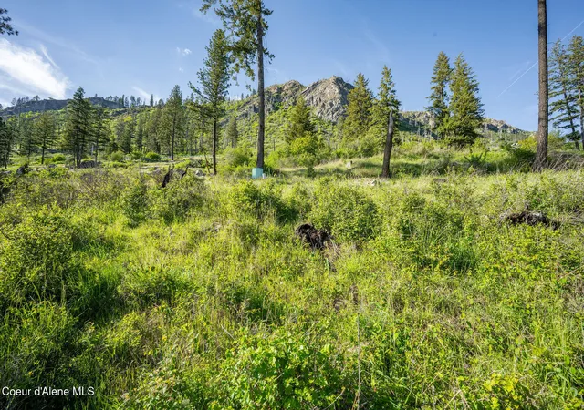 Homes for sale in Bayview, ID | 19088 E Scenic Bay Dr, Bayview, ID 83803 | MLS# 26-4919