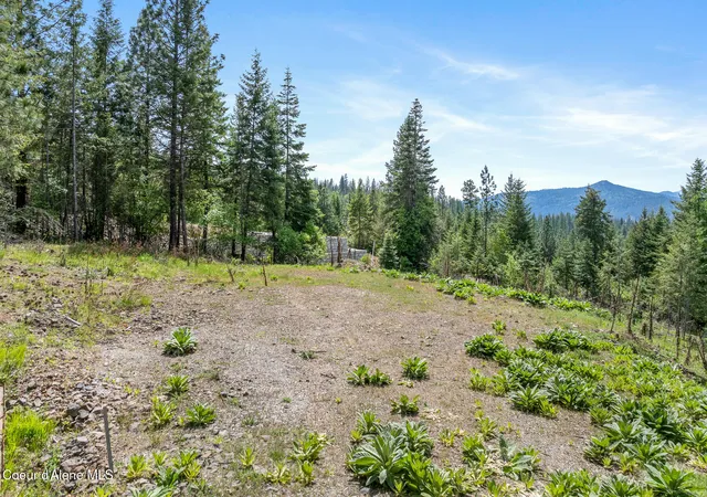 Photo 3 of Land for sale at 2056 Echo Cyn Dr, Harrison, ID 83833 | MLS# 26-4797 | Listing updated on 2026-05-13