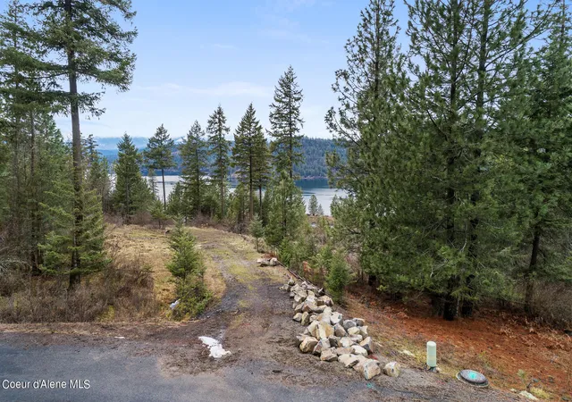 Photo 3 of Land for sale at Lot 1 Jackleg Trl, Harrison, ID 83833 | MLS# 26-4799 | Listing updated on 2026-05-13