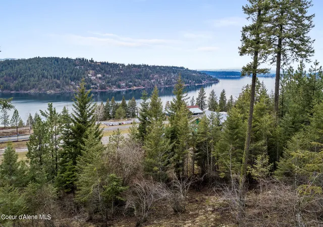 Photo 4 of Land for sale at Lot 1 Jackleg Trl, Harrison, ID 83833 | MLS# 26-4799 | Listing updated on 2026-05-13