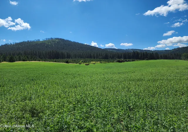 Photo 1 of Land for sale at Nka Desmet Rd, Desmet, ID 83824 | MLS# 26-4839 | Listing updated on 2026-05-15
