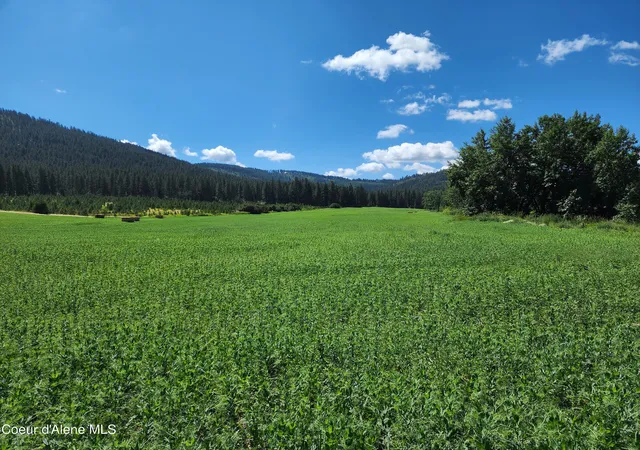 Photo 2 of Land for sale at Nka Desmet Rd, Desmet, ID 83824 | MLS# 26-4839 | Listing updated on 2026-05-15
