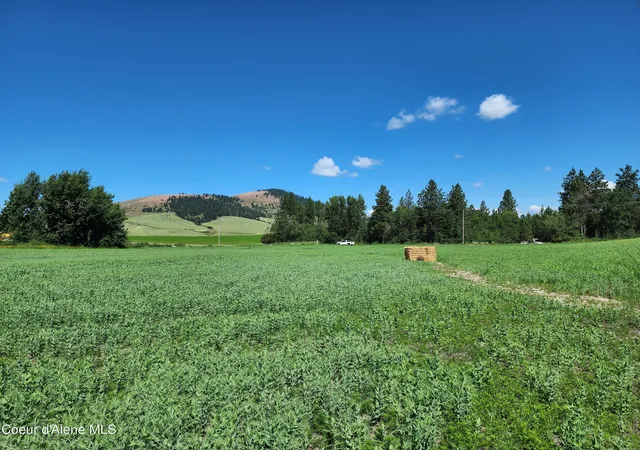 Photo 3 of Land for sale at Nka Desmet Rd, Desmet, ID 83824 | MLS# 26-4839 | Listing updated on 2026-05-15