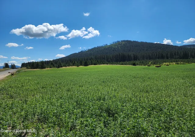 Photo 4 of Land for sale at Nka Desmet Rd, Desmet, ID 83824 | MLS# 26-4839 | Listing updated on 2026-05-15