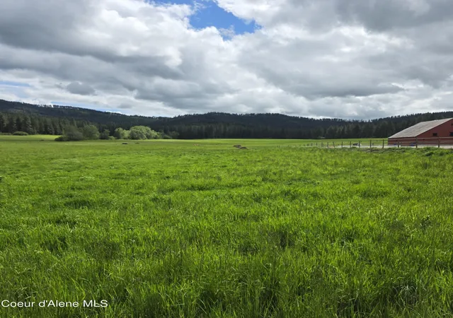 Homes for sale in Desmet, ID | Nkaparcel2 Desmet Rd, Desmet, ID 83824 | MLS# 26-4842