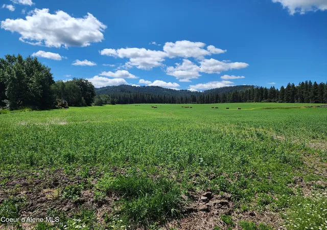 5th image of Nkaparcel2 Desmet Rd, Desmet, ID 83824 | MLS# 26-4842