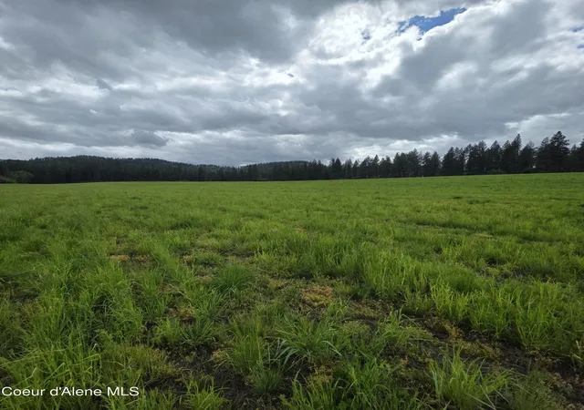 Homes for sale in Desmet, ID | Nkaparcel2 Desmet Rd, Desmet, ID 83824 | MLS# 26-4842