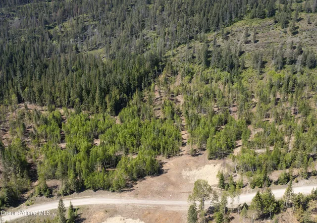 Homes for sale in Bonners Ferry, ID | Nna Westside Rd Parcel 9, Bonners Ferry, ID 83805 | MLS# 26-4826