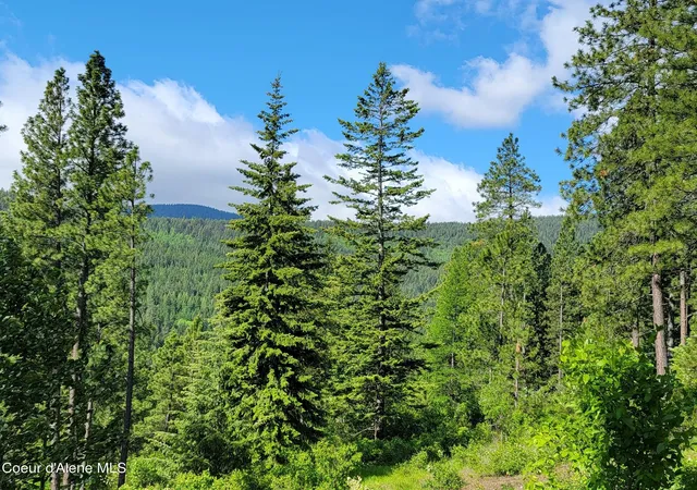 Homes for sale in Bonners Ferry, ID | Nna Snowcat Ln Tract 2, Bonners Ferry, ID 83805 | MLS# 26-4822