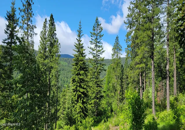 Homes for sale in Bonners Ferry, ID | Nna Snowcat Ln Tract 2, Bonners Ferry, ID 83805 | MLS# 26-4822