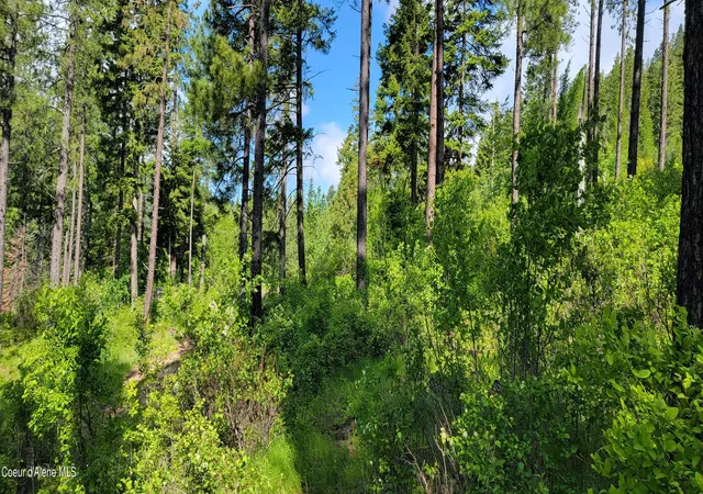 3rd image of Nna Snowcat Ln Tract 2, Bonners Ferry, ID 83805 | MLS# 26-4822
