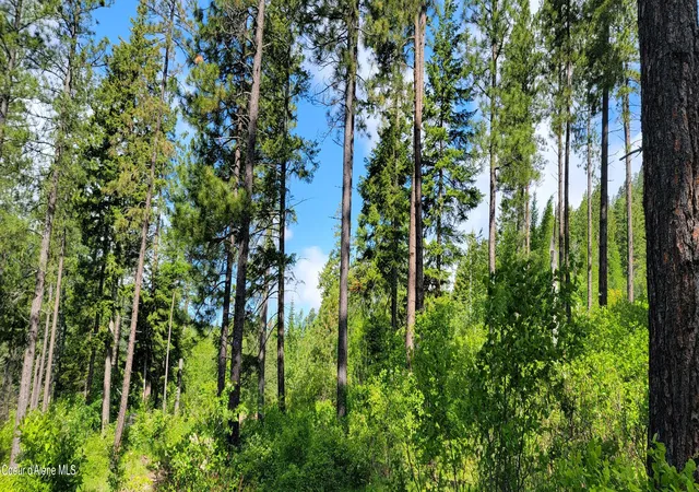4th image of Nna Snowcat Ln Tract 2, Bonners Ferry, ID 83805 | MLS# 26-4822