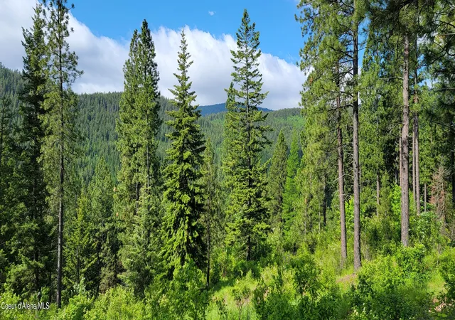 5th image of Nna Snowcat Ln Tract 2, Bonners Ferry, ID 83805 | MLS# 26-4822
