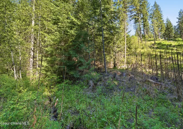 27th image of Nna Stone Rd Lot 2 (200 Acres), Blanchard, ID 83804 | MLS# 26-4933
