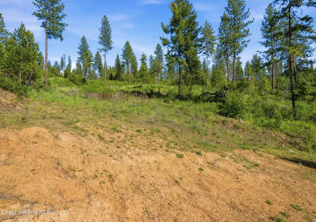 19th image of Nna Stone Rd Lot 5 (200 Acres), Blanchard, ID 83804 | MLS# 26-4934