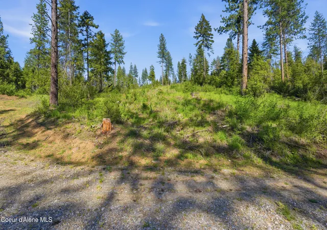 1st image of Nna Stone Rd Lot 5 (200 Acres), Blanchard, ID 83804 | MLS# 26-4934