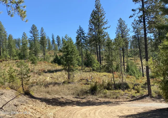 3rd image of Nna Stone Rd Lot 5 (200 Acres), Blanchard, ID 83804 | MLS# 26-4934