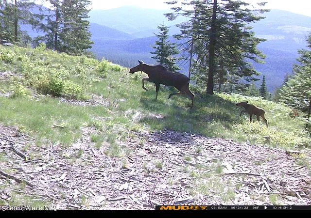 Homes for sale in Bonners Ferry, ID | 8694 Meadow Creek Rd, Bonners Ferry, ID 83805 | MLS# 26-4937