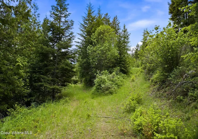 Homes for sale in Bonners Ferry, ID | 10435 Hwy 1, Bonners Ferry, ID 83805 | MLS# 26-5309