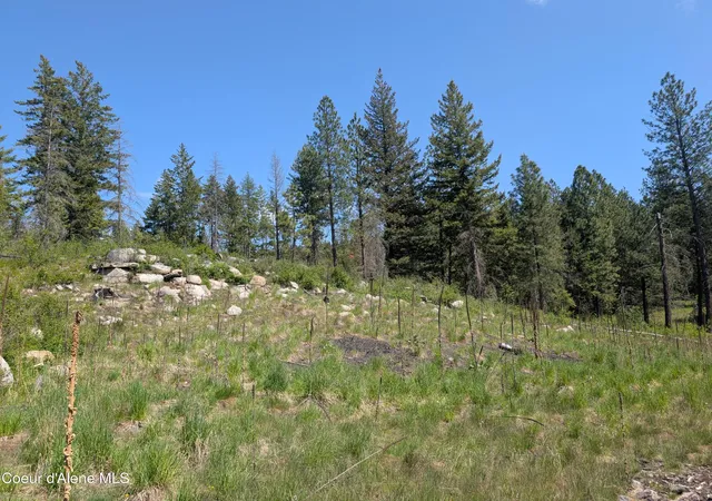 3rd image of 83 Catan Ln, Bonners Ferry, ID 83805 | MLS# 26-5002