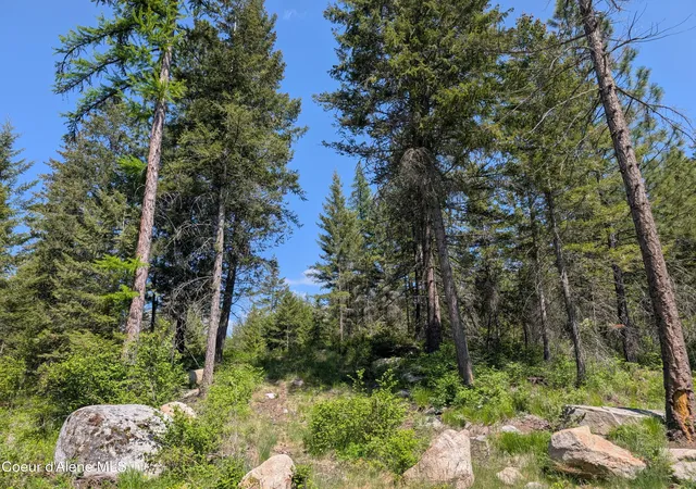 4th image of 83 Catan Ln, Bonners Ferry, ID 83805 | MLS# 26-5002