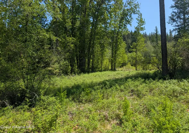 5th image of 83 Catan Ln, Bonners Ferry, ID 83805 | MLS# 26-5002