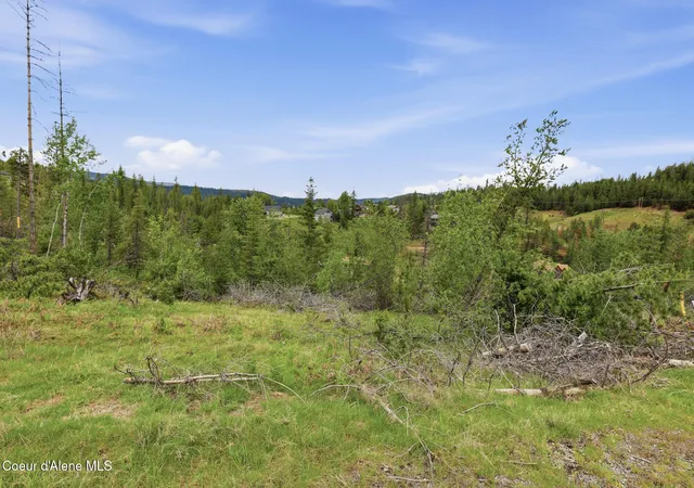 Homes for sale in Pinehurst, ID | 120 Blazing Saddle Ct, Pinehurst, ID 83850 | MLS# 26-5112