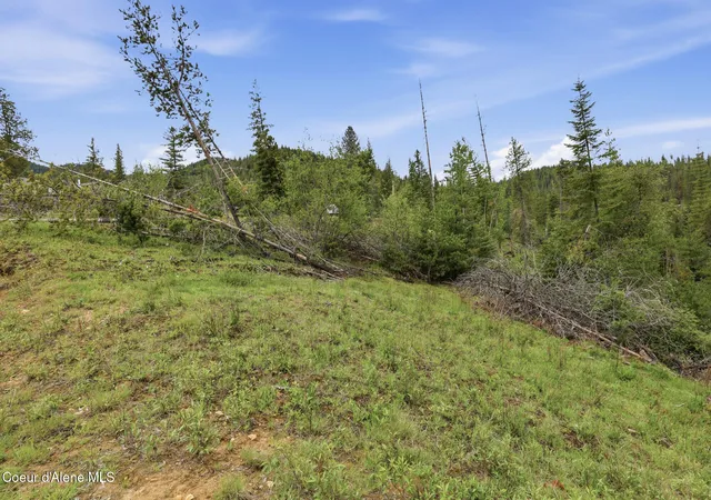 5th image of 120 Blazing Saddle Ct, Pinehurst, ID 83850 | MLS# 26-5112