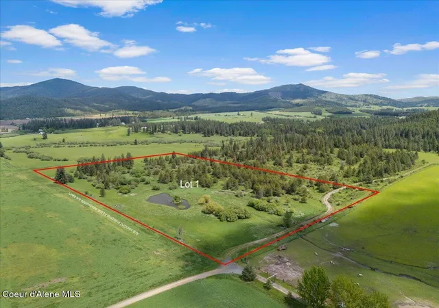 Homes for sale in Tensed, ID | 572 Foote Rd, Tensed, ID 83870 | MLS# 26-5096