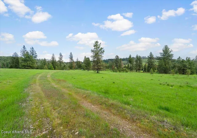 Homes for sale in Tensed, ID | 572 Foote Rd, Tensed, ID 83870 | MLS# 26-5096