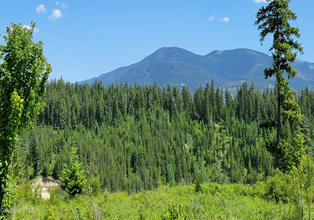 5th image of Nna Falcon Ridge Dr Tract 6, Bonners Ferry, ID 83805 | MLS# 26-5087